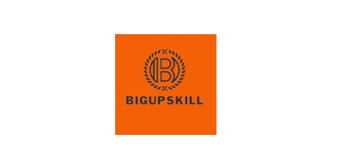 aka alt-bigupskill, logo