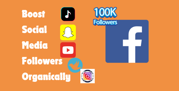 Boost Social Media Followers Organically with Bigupskill!