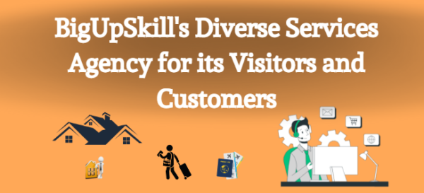 aka alt-BigUpSkill's Diverse Services Agency for its Visitors and Customers