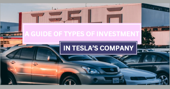 A Guide of the types of Investment in Tesla’s Business