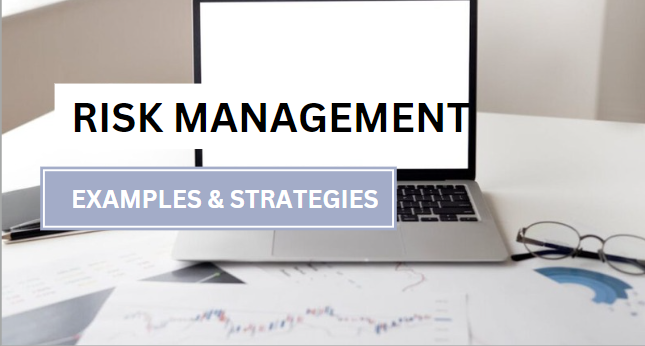 Risk management Examples and Strategies